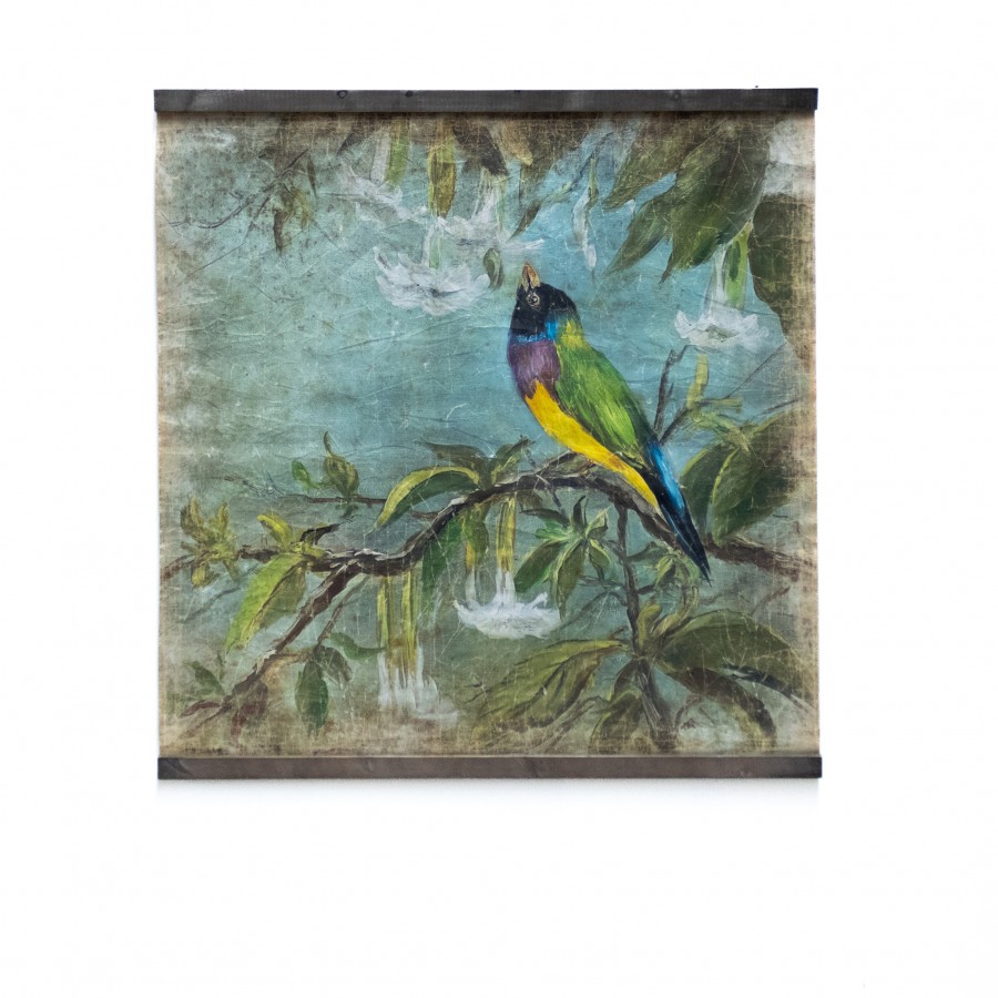 L'OISEAU AUX DATURAS (120x120cm)